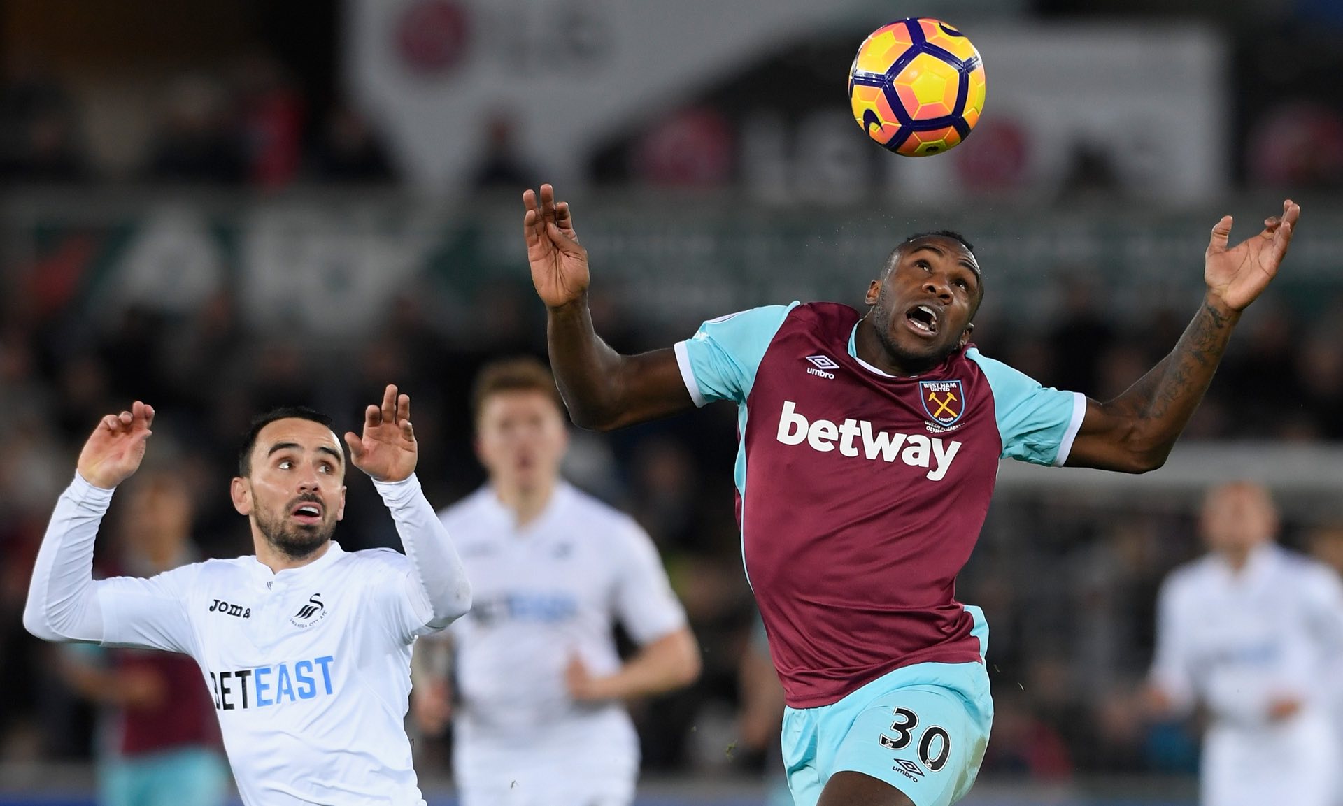 並不僅限於 並不僅限於